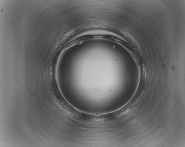 X0000064720260200602171623