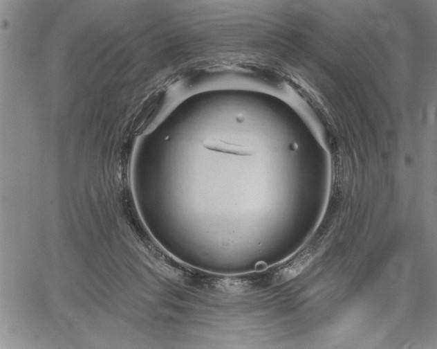 X0000064720261200602171623