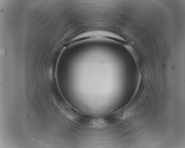 X0000064720262200602171623