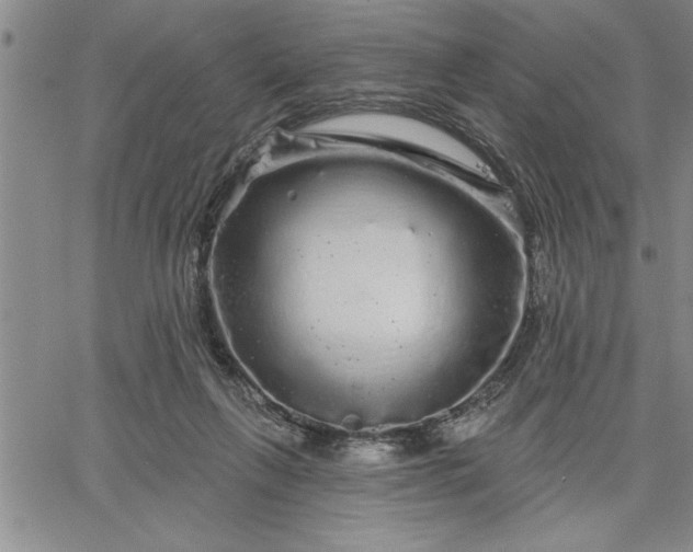 X0000064720263200602171623