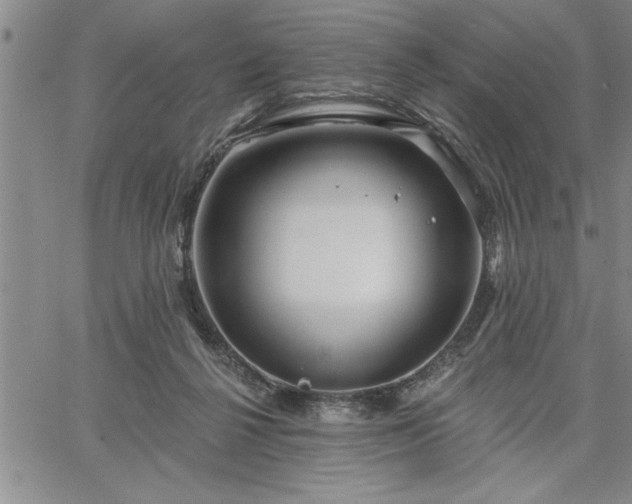 X0000064720264200602171623