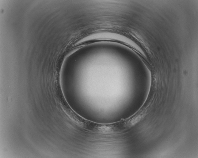 X0000064720265200602171623