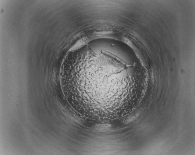 X0000064720266200602171623