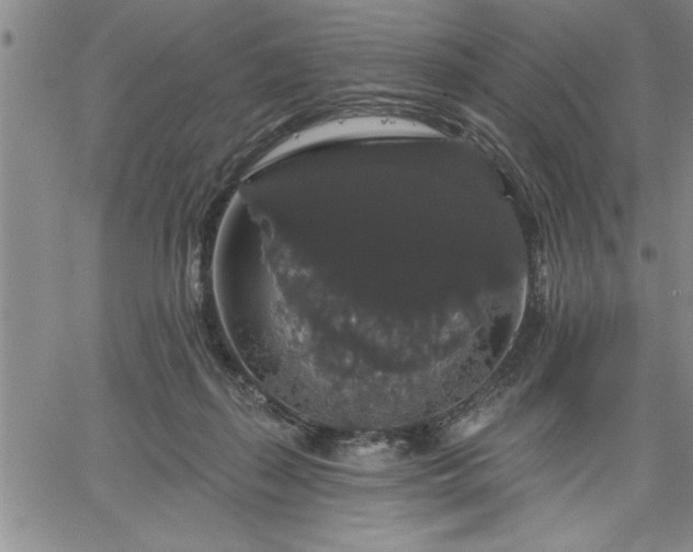 X0000064720267200602171624