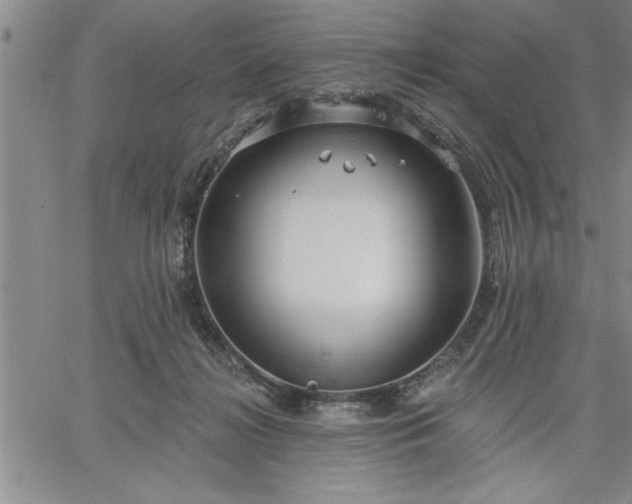 X0000064720268200602171624