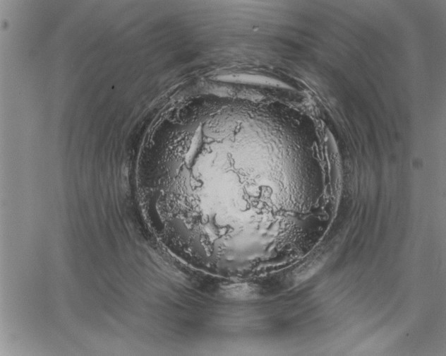 X0000064720269200602171624