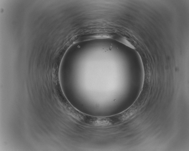 X0000064720270200602171624