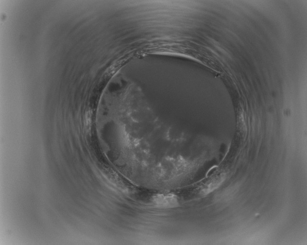 X0000064720271200602171624