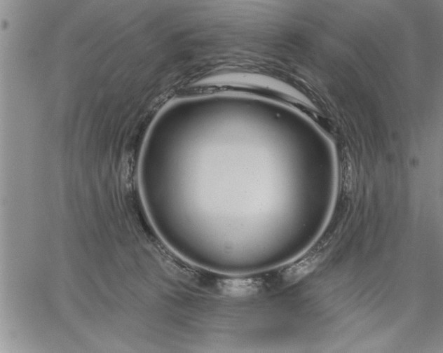 X0000064720273200602171624