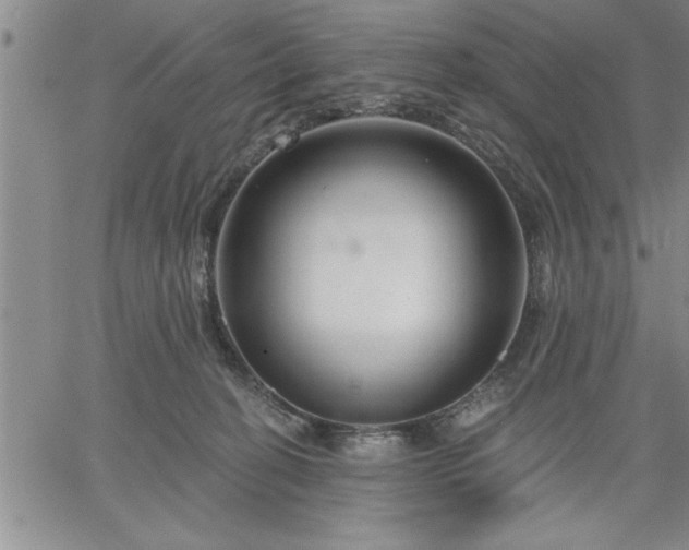 X0000064720274200602171624