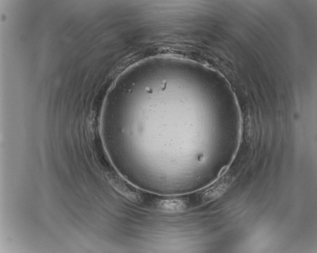 X0000064720275200602171624