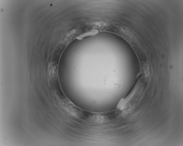 X0000064720276200602171624