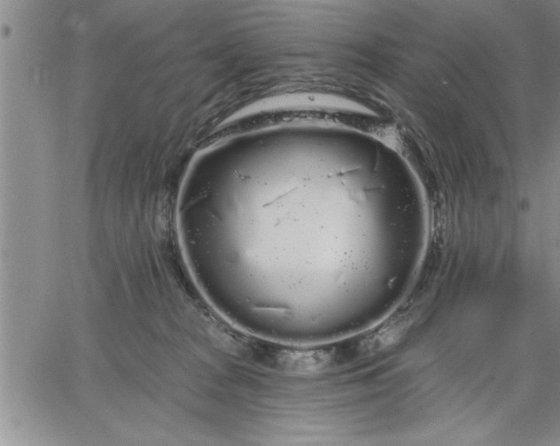 X0000064720277200602171624