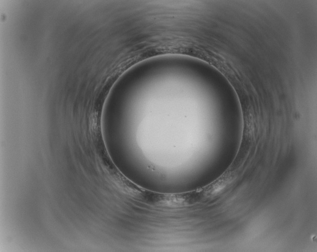 X0000064720278200602171624