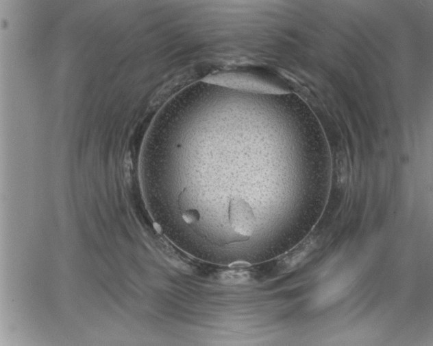 X0000064720279200602171624