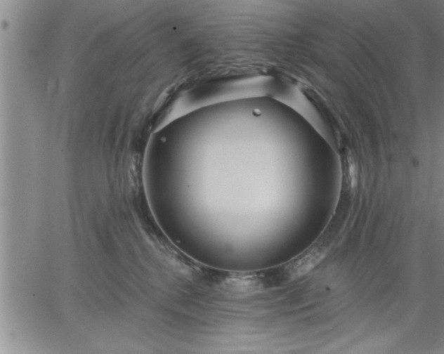 X0000064720280200602171624