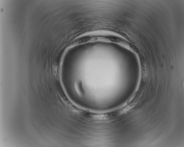 X0000064720281200602171624