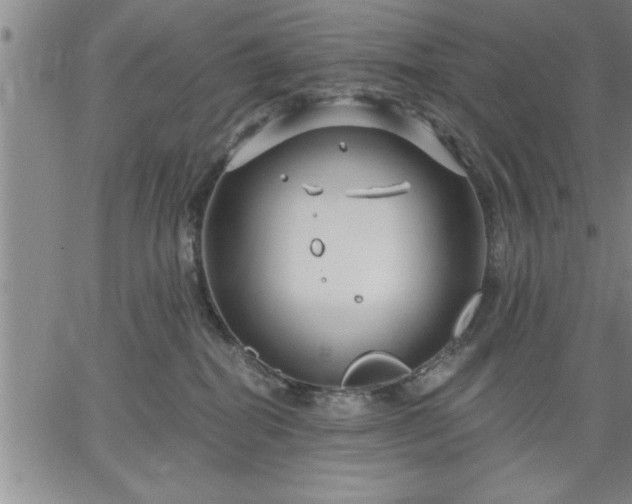 X0000064720282200602171624