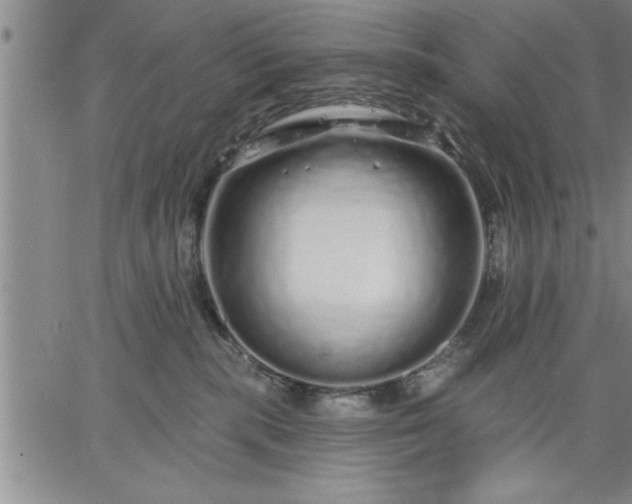 X0000064720283200602171624