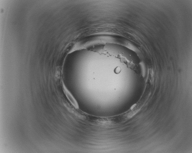 X0000064720284200602171624