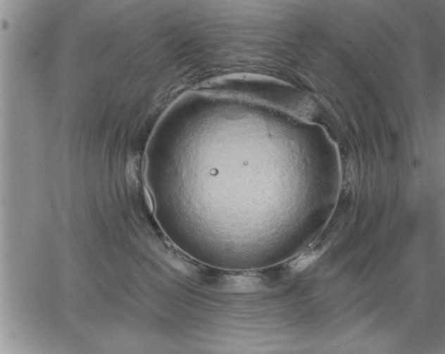 X0000064720286200602171624