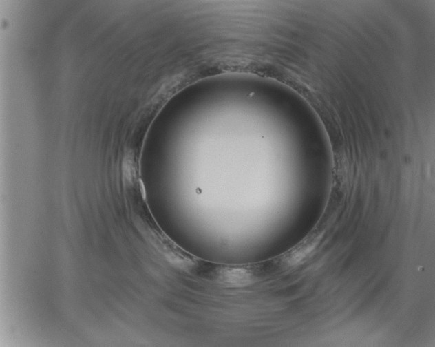 X0000064720287200602171624