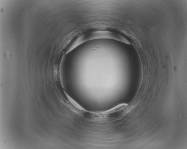 X0000064720288200602171624