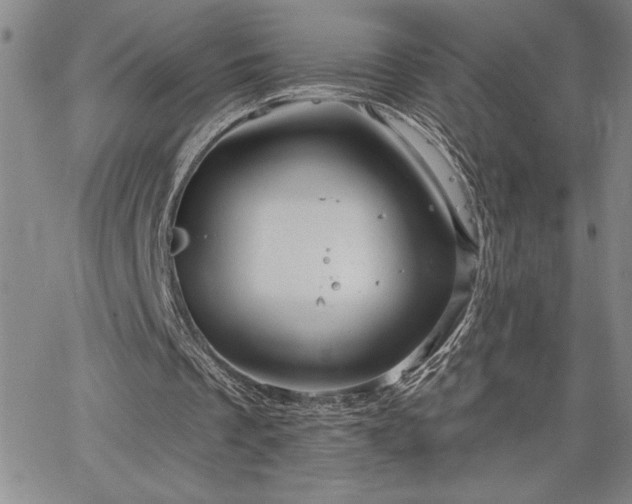 X0000064720289200602171623