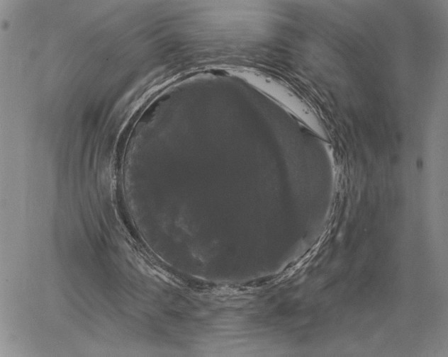 X0000064720290200602171623