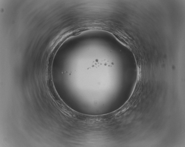 X0000064720291200602171623