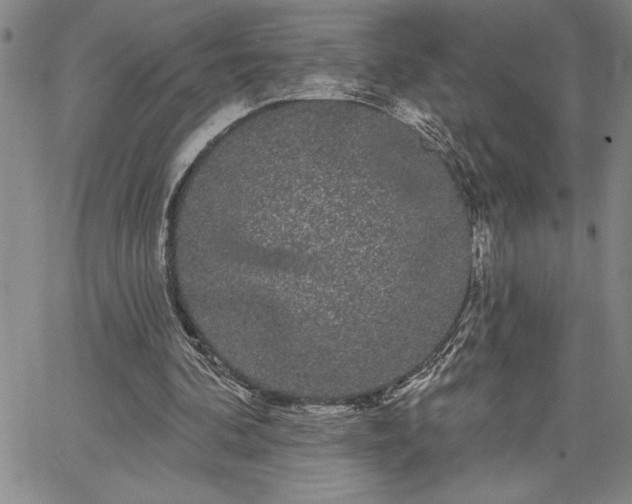 X0000064720292200602171623