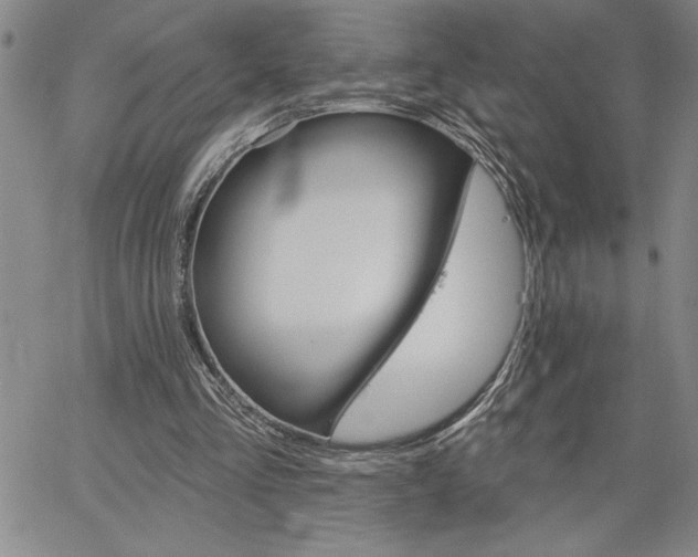 X0000064720293200602171623