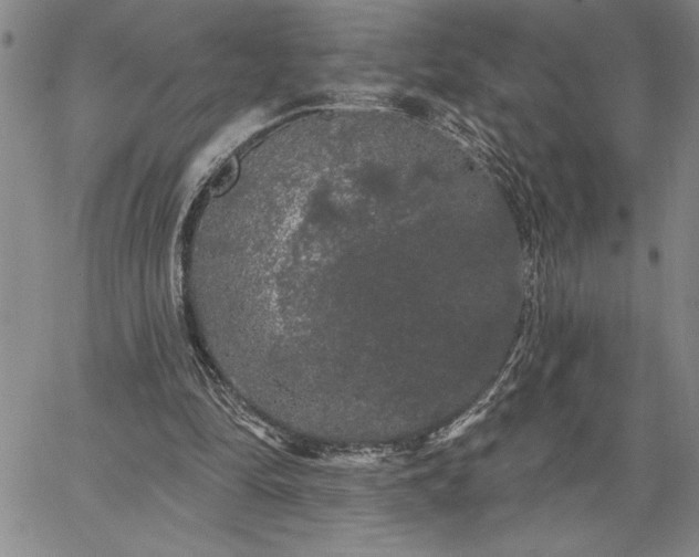 X0000064720294200602171623