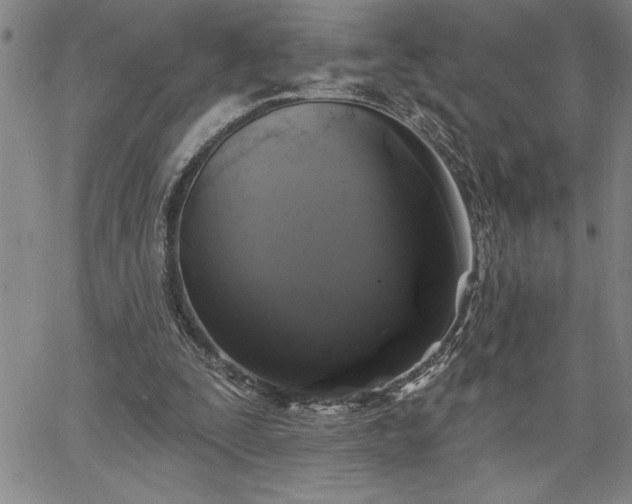 X0000064720295200602171623