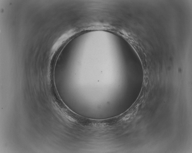 X0000064720296200602171623