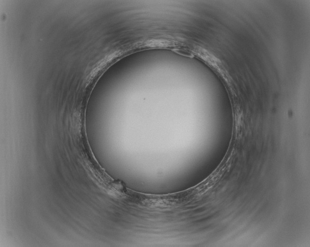 X0000064720297200602171623