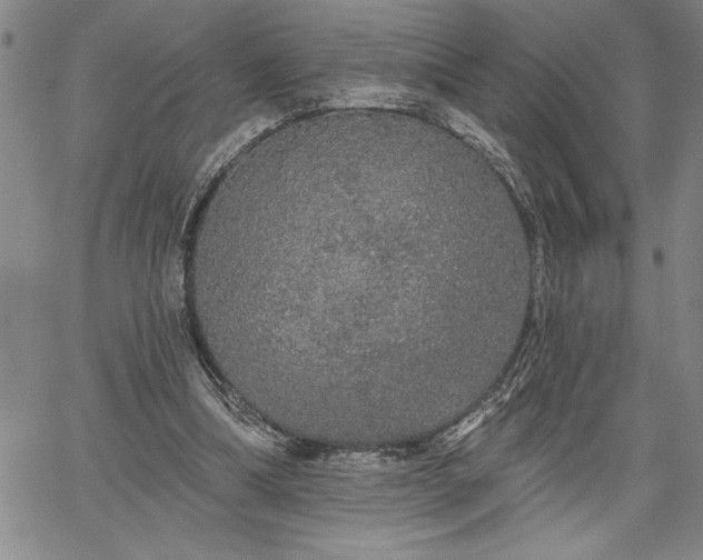 X0000064720298200602171623