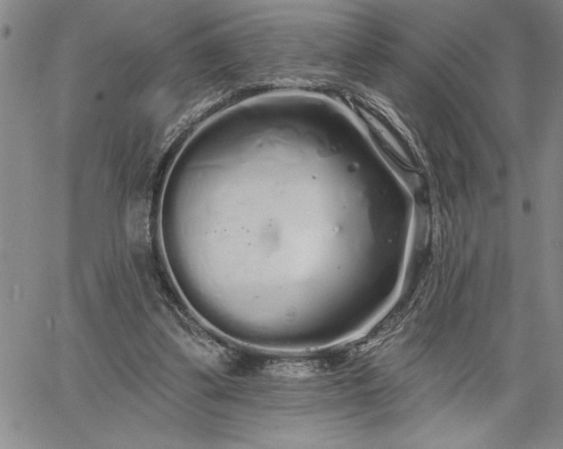 X0000064720299200602171623