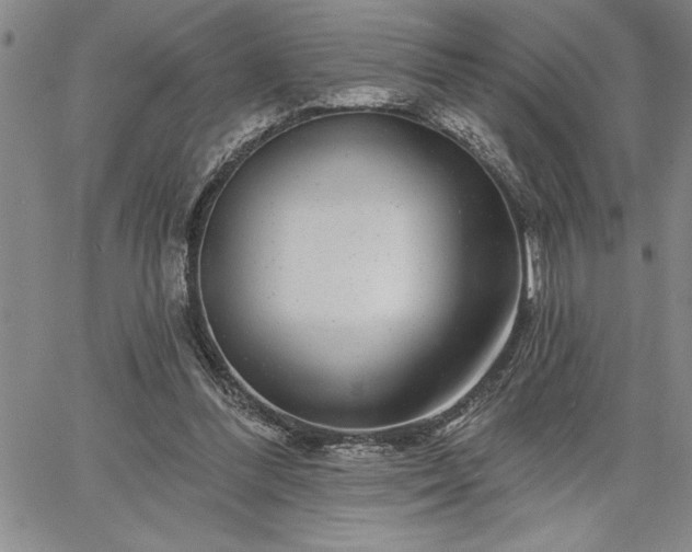 X0000064720300200602171623