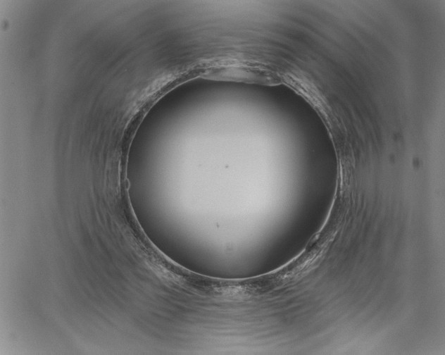 X0000064720301200602171623