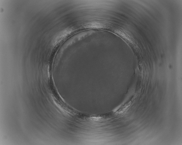 X0000064720302200602171623