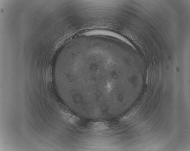 X0000064720303200602171623