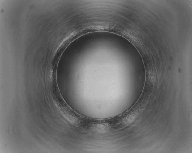 X0000064720304200602171623