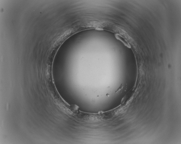 X0000064720305200602171623