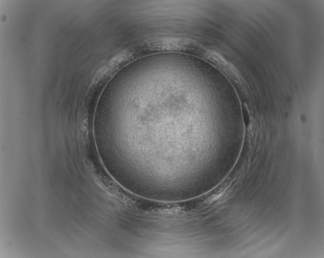 X0000064720306200602171623