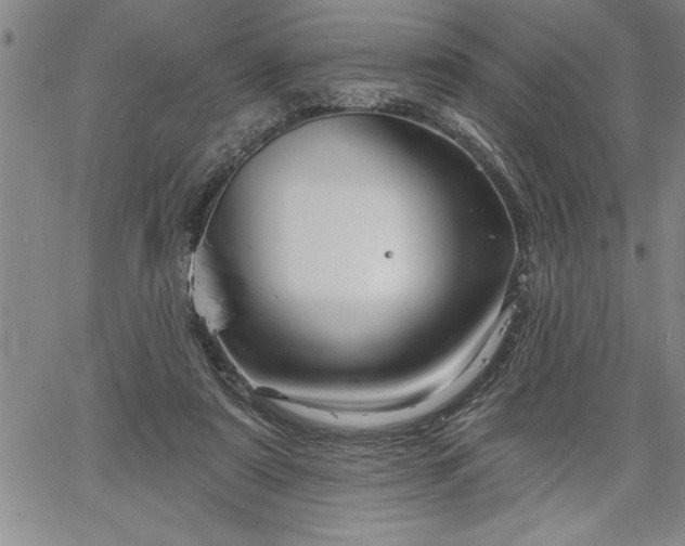 X0000064720307200602171623