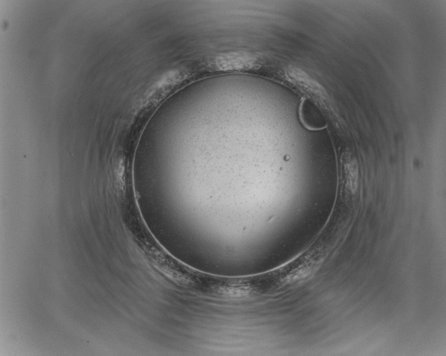 X0000064720308200602171623