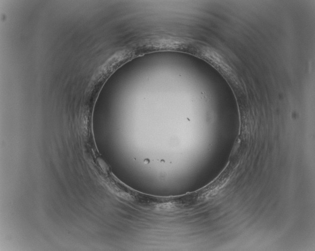 X0000064720309200602171623