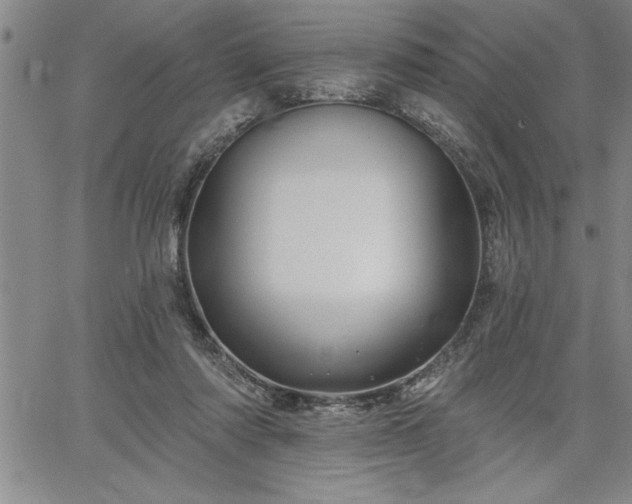 X0000064720310200602171623