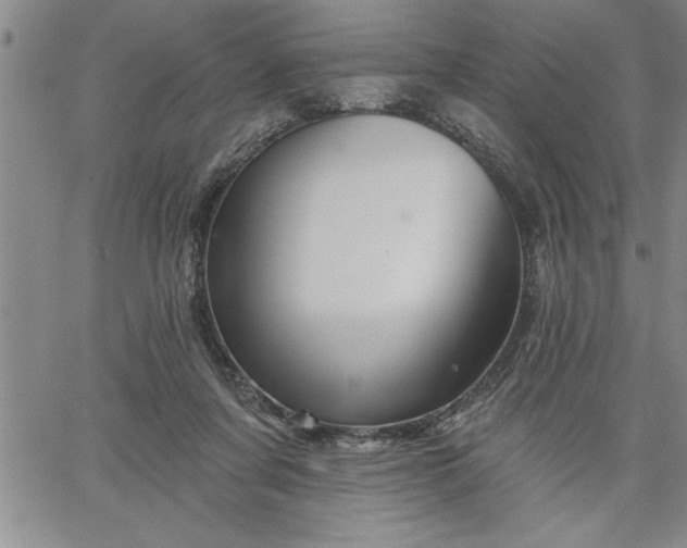 X0000064720311200602171623